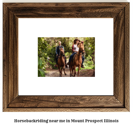 horseback riding near me in Mount Prospect, Illinois